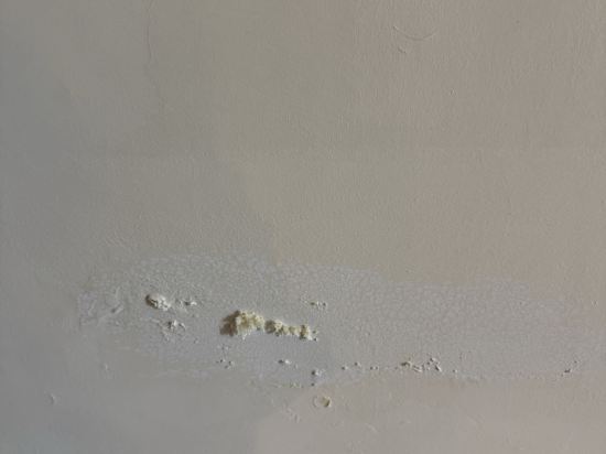 杜拜弗蘭克魯丁特勒潘套房酒店優惠