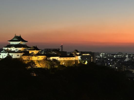 ダイワロイネットホテル和歌山 クーポン