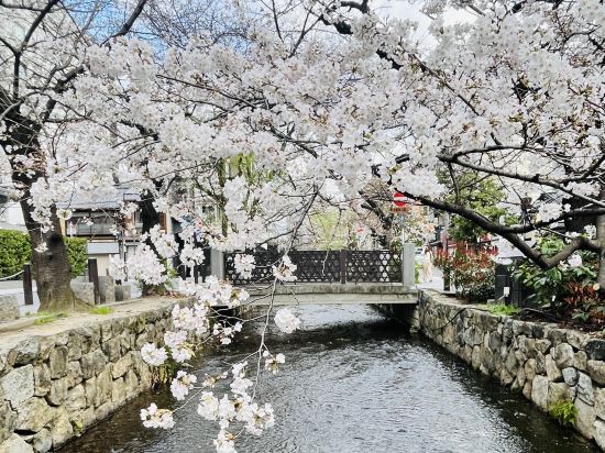 スーパーホテル京都・四条河原町　天然温泉「御所の湯」 クーポン