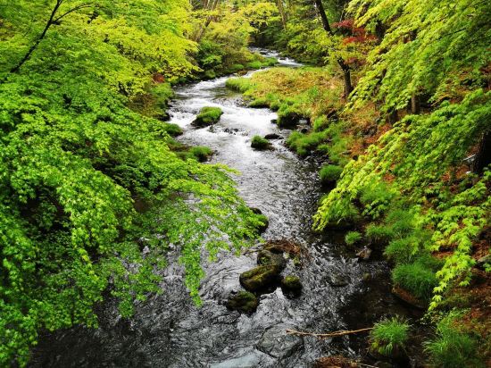 富士山温泉 ホテル鐘山苑 クーポン