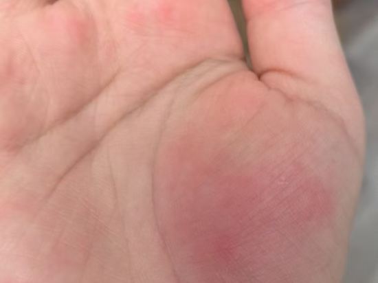 港灣國際公寓（北京東直門三里屯店）優惠