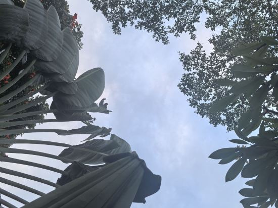 沙努爾塔克蘇酒店優惠