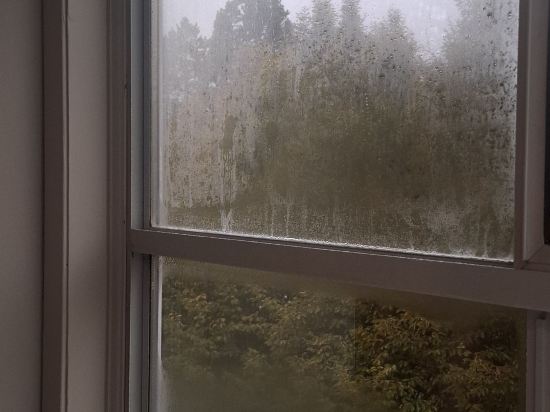 維多利亞紅獅套房酒店優惠