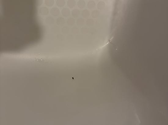 佛山皇冠假日酒店優惠