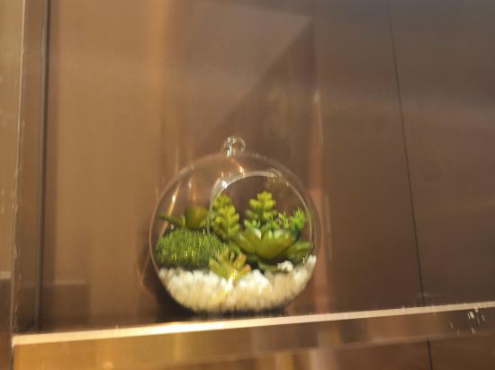 宏陽·麗悅飯店（廣州塔客村地鐵站琶洲會展中心店）優惠