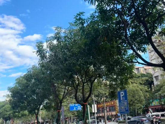 柏高·雅飯店（廣州江泰路地鐵站店）優惠