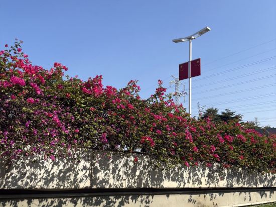 喜悦門酒店（佛山樂從傢俱城店）優惠