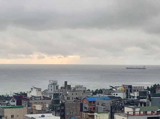 호텔코코 쿠폰