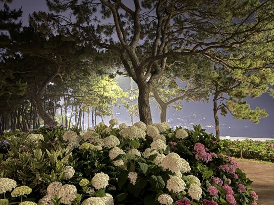 해운대블루호텔 쿠폰