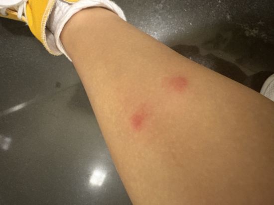 澳門遇蓮客棧優惠