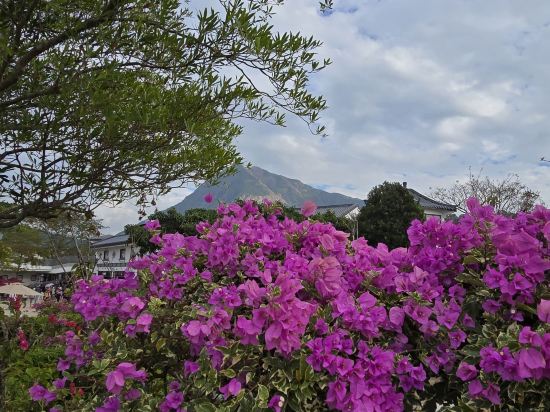 香港銀樾美憬閣精選飯店優惠