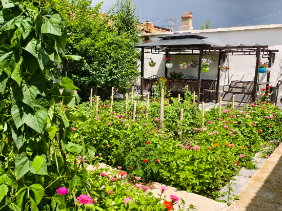 多倫吉嘉賓館優惠