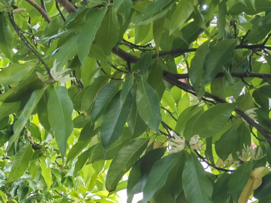 麗江古城瀾舍設計師公館客棧優惠