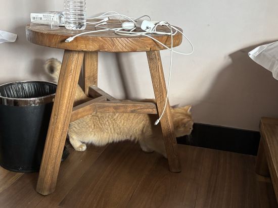 無它老洋房1929酒店（青島海底世界店）優惠