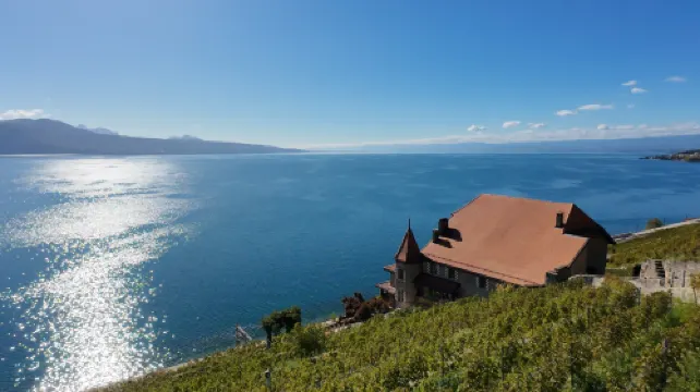 Swiss Chocolate by Fassbind Lausanne Рядом с отелем Photos