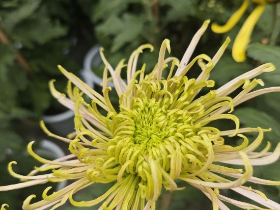 怡家城市飯店（綿陽鐵牛廣場店）優惠