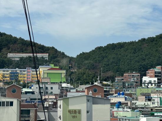 부산 넘버25 용호점 쿠폰