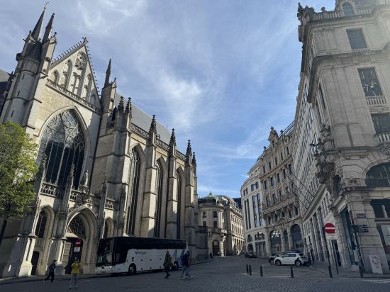 布魯塞爾中央枕頭市酒店優惠