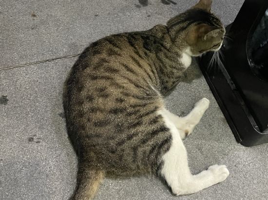 경주 지지 관광호텔 쿠폰