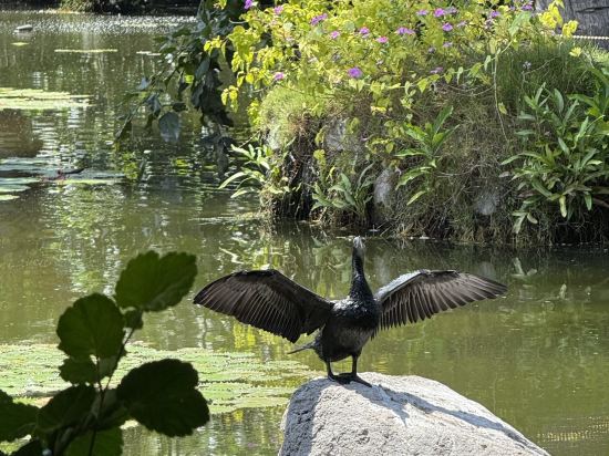 峇裡島阿優達度假飯店優惠