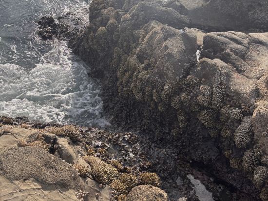 JR東日本鎌倉大船METS飯店優惠