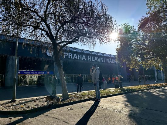 蘇菲小姐市中心飯店優惠