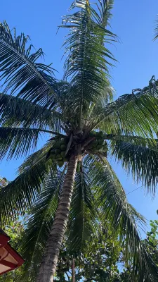 Mac Resort Hotel In der Nähe des Hotels Photos