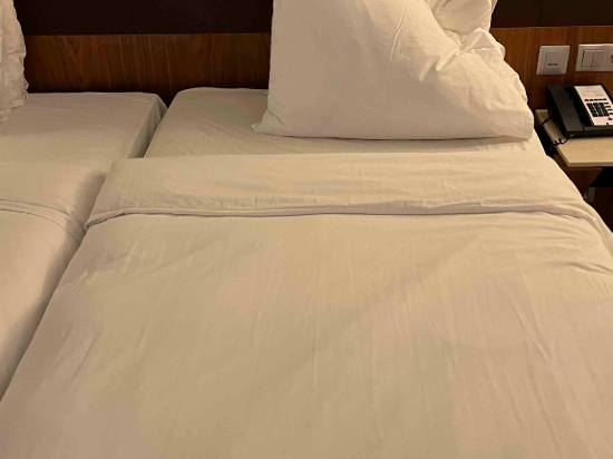 莫斯科謝諾梅傑沃機場麗笙藍標酒店優惠