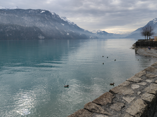 因特拉肯多諾德酒店優惠