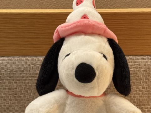 ONSEN RYOKAN 由縁 札幌 クーポン