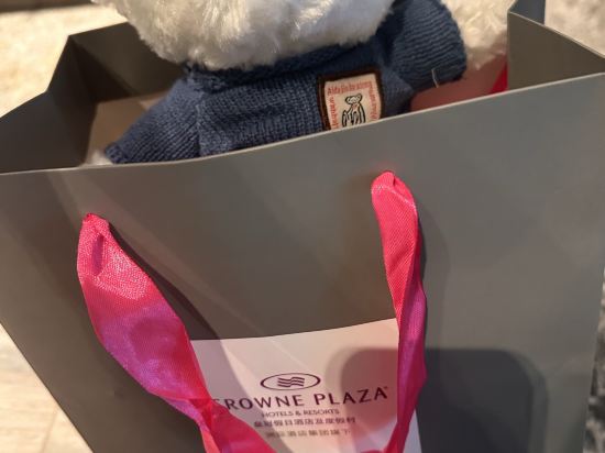 南寧中心永恆皇冠假日飯店優惠