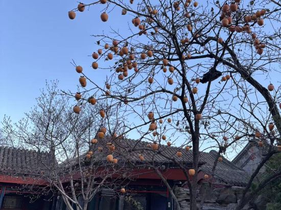 北京婧園雅筑四合院賓館優惠