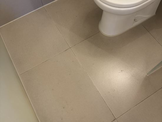 海口萬麗酒店優惠