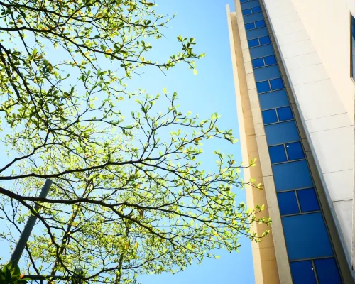 Courtyard by Marriott Kochi Infopark بالقرب من الفندق Photos