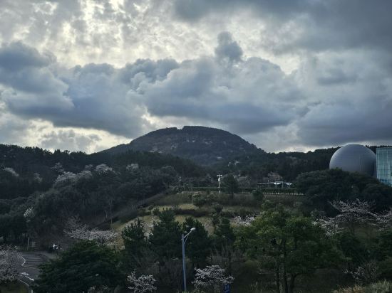 호텔 난타 제주 쿠폰