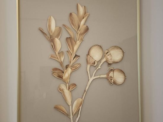 今古安民宿優惠