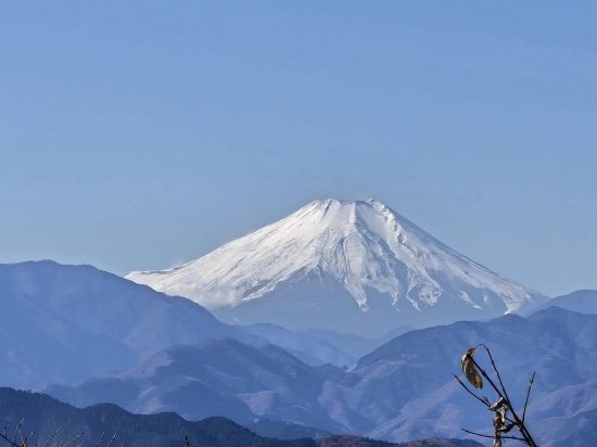富士格蘭別墅-時-優惠