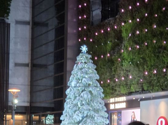 F-商旅（臺中麗加園邸）優惠