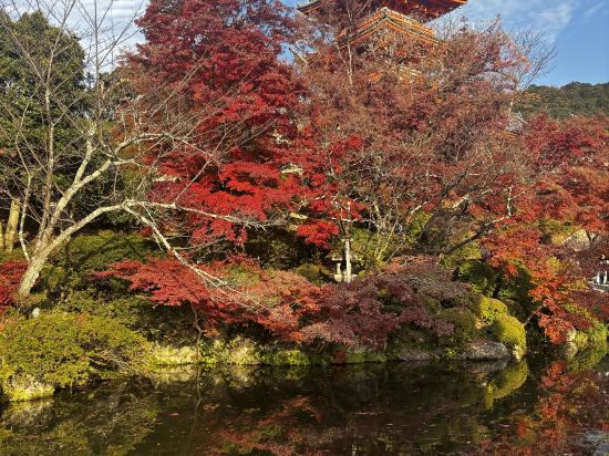 ホテルメルディア 四条河原町アネックス クーポン