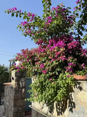 博德魯姆石屋飯店 Photos