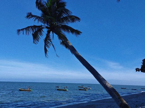 瓊海博鰲道紀海景大酒店優惠