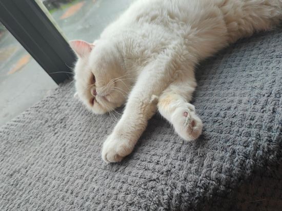 重慶吃山文化青年旅店優惠