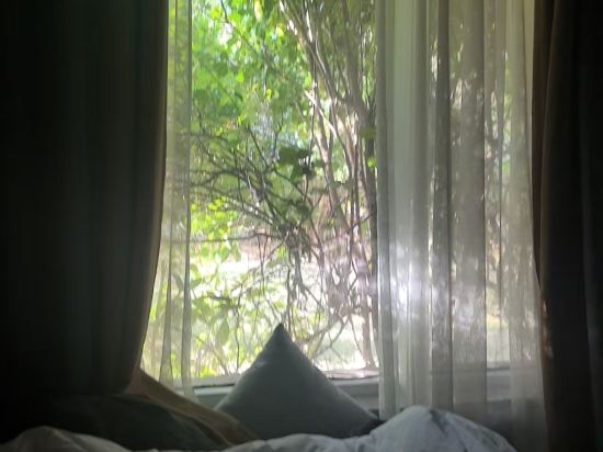 椿天酒店（深圳南山天利名城店）優惠