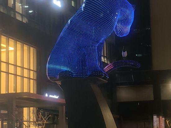 明洞九樹2號精品酒店優惠