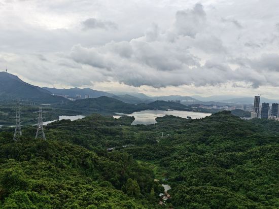 深圳求水山酒店（藍谷森林店）優惠
