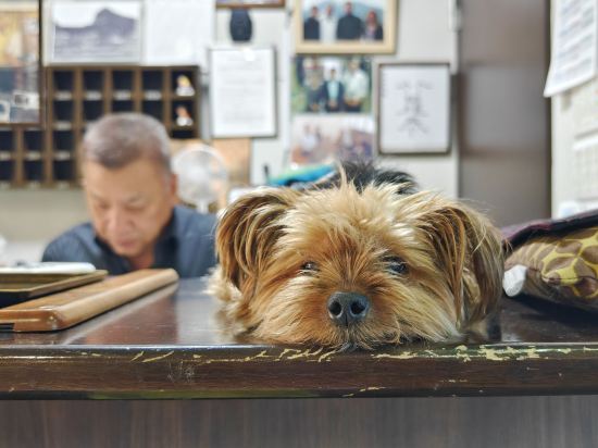 ホテル 雲丹御殿 クーポン