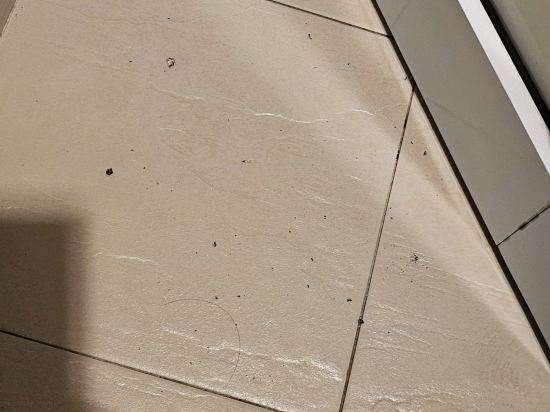 新山蜂酒店優惠