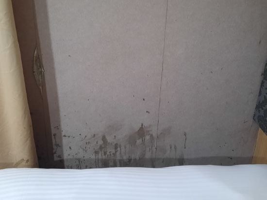 台北唯樂米窩優惠