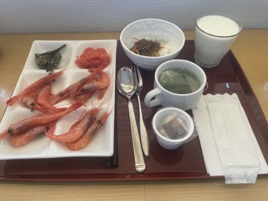 MYSTAYS 札幌站北口飯店優惠