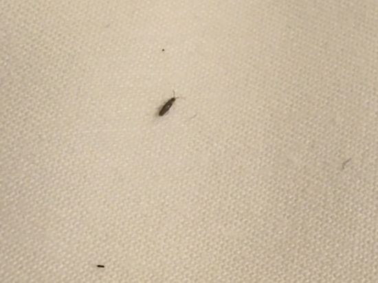 香港美麗華酒店優惠